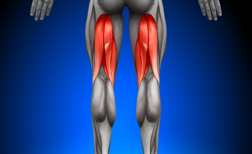 Seated Leg Curl